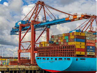 Inspection & Services